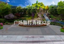 广场舞打青稞32步