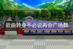 歌曲转身不必说再会广场舞