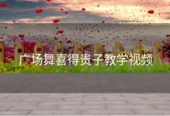 广场舞喜得贵子教学视频