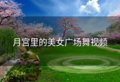 月宫里的美女广场舞视频