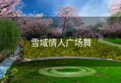 雪域情人广场舞