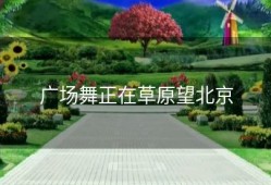 广场舞正在草原望北京