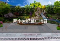 两个大妈跳广场舞