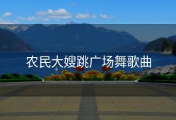 农民大嫂跳广场舞歌曲