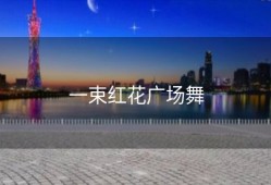 一束红花广场舞