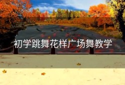 初学跳舞花样广场舞教学