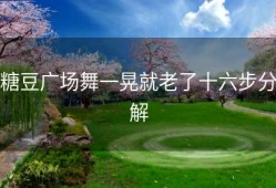 糖豆广场舞一晃就老了十六步分解