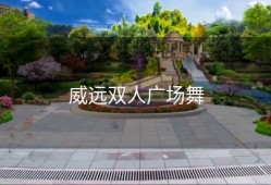 威远双人广场舞