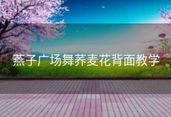 燕子广场舞荞麦花背面教学