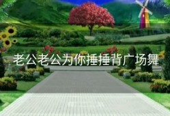 老公老公为你捶捶背广场舞