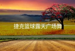捷克篮球露天广场舞