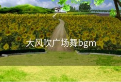 大风吹广场舞bgm