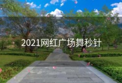 2021网红广场舞秒针