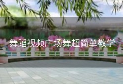 舞蹈视频广场舞超简单教学