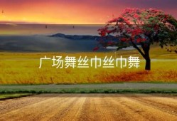 广场舞丝巾丝巾舞