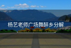杨艺老师广场舞醉乡分解
