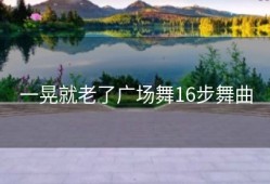 一晃就老了广场舞16步舞曲