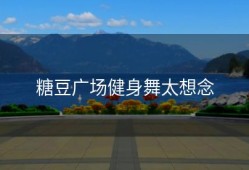 糖豆广场健身舞太想念