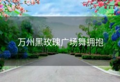 万州黑玫瑰广场舞拥抱