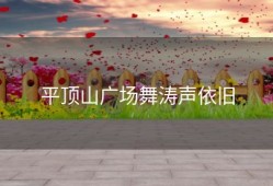 平顶山广场舞涛声依旧