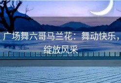广场舞六哥马兰花：舞动快乐，绽放风采