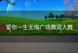 爱你一生无悔广场舞双人舞