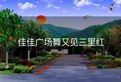 佳佳广场舞又见三里红