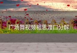 广场舞视频相思渡口分解