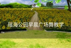 瑶海公园早晨广场舞教学