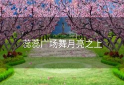 蕊蕊广场舞月亮之上