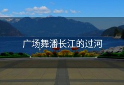 广场舞潘长江的过河