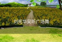 刘宪华吴昕广场舞