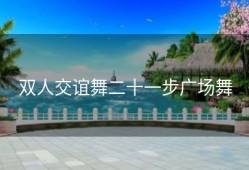 双人交谊舞二十一步广场舞