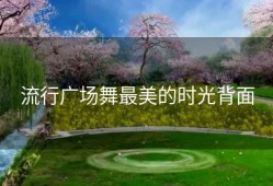 流行广场舞最美的时光背面