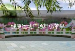 健康运动广场舞小苹果