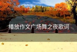 播放作文广场舞之夜歌词
