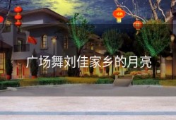 广场舞刘佳家乡的月亮
