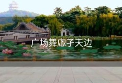 广场舞応孑天边