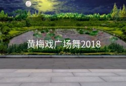 黄梅戏广场舞2018