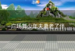 广场舞少年夫妻老了伴