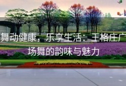 舞动健康，乐享生活：王格庄广场舞的韵味与魅力