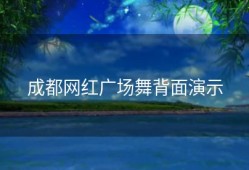 成都网红广场舞背面演示