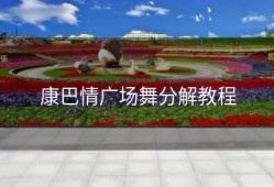 康巴情广场舞分解教程