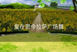 爱在思今拉萨广场舞
