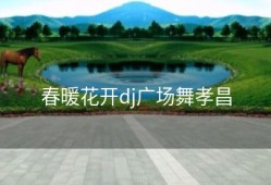 春暖花开dj广场舞孝昌
