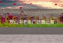 罗山中老年广场舞比赛
