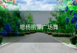 嗯杨丽萍广场舞