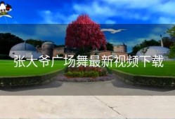 张大爷广场舞最新视频下载