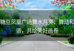 糖豆凤凰广场舞水月亮：舞动和谐，共绘美好画卷