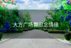 大方广场舞思念情缘